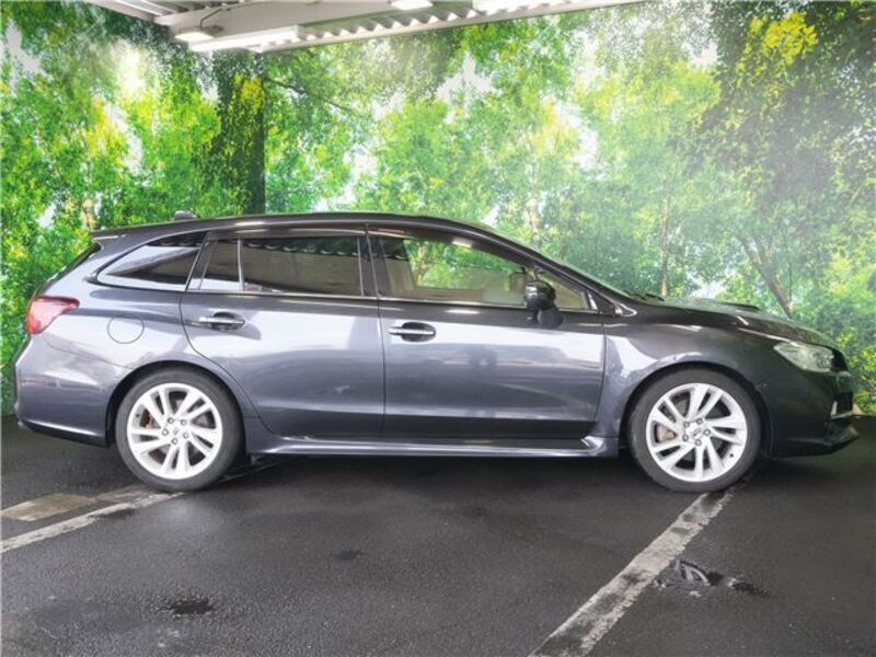 LEVORG