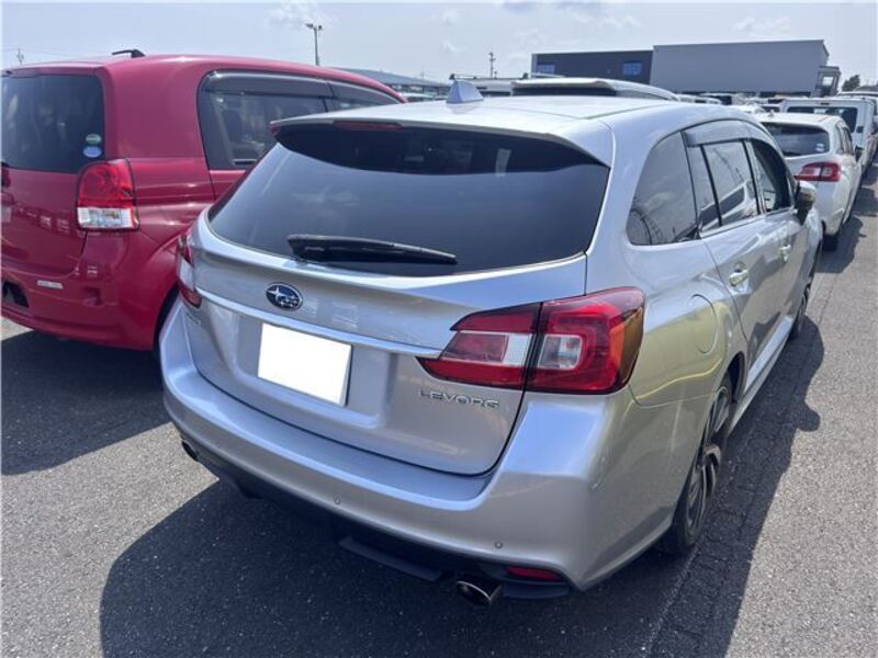 LEVORG