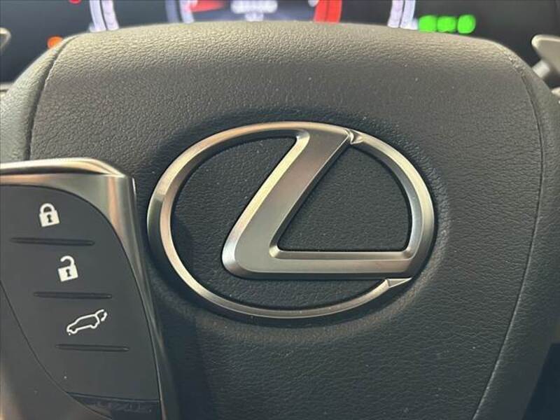 NX