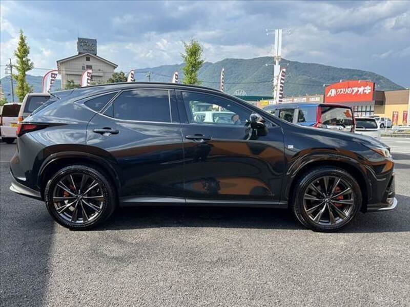 NX