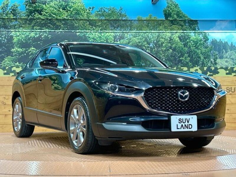 CX-30