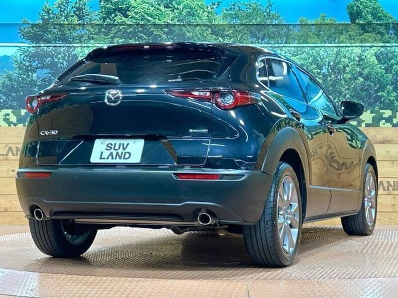 CX-30