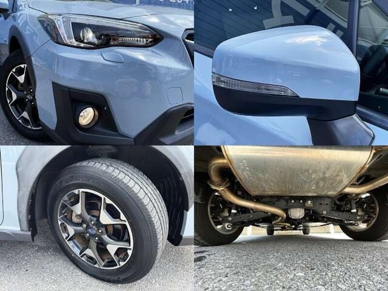 XV