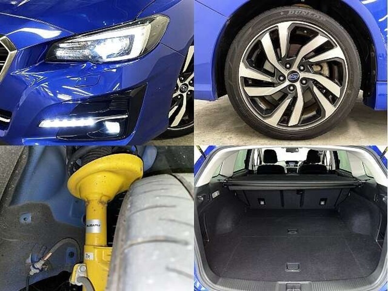 LEVORG