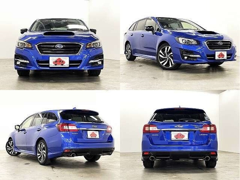 LEVORG