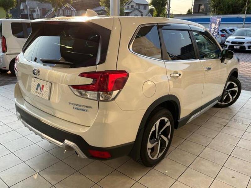 FORESTER