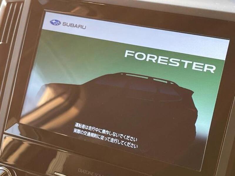 FORESTER