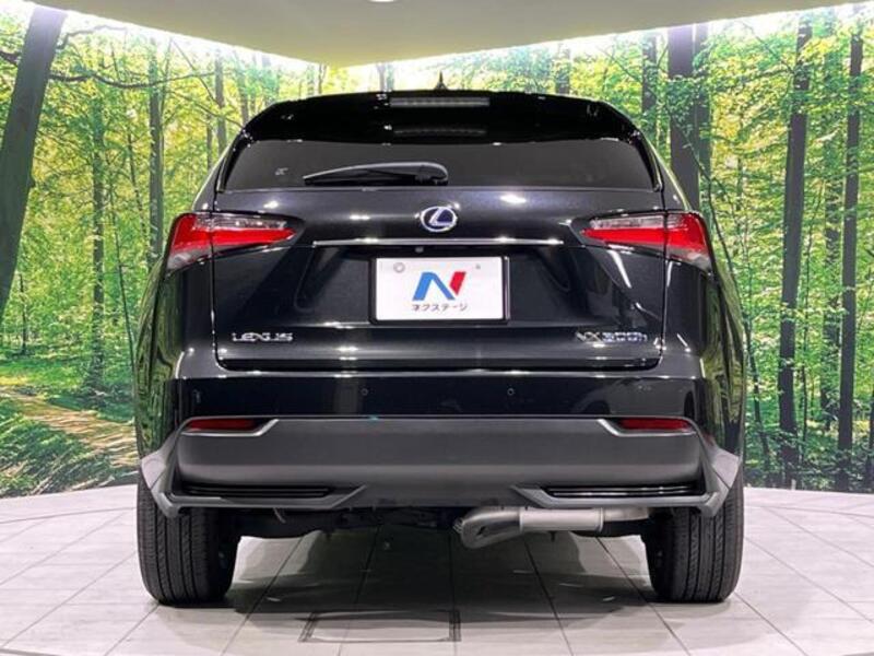 NX