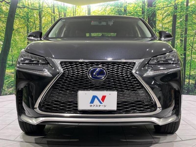 NX