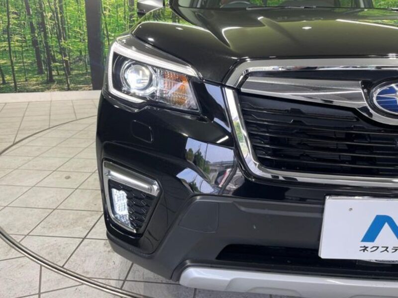 FORESTER