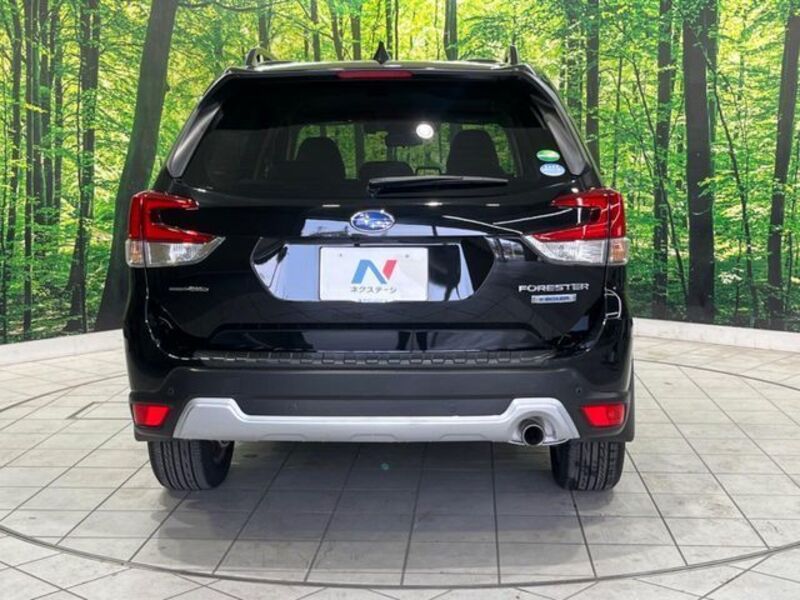 FORESTER