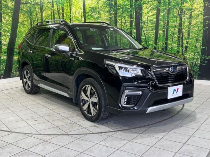 FORESTER