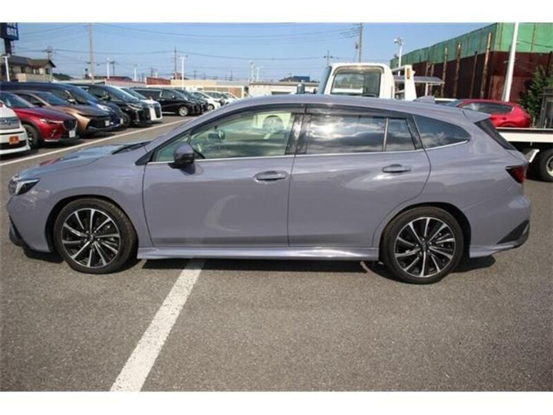 LEVORG