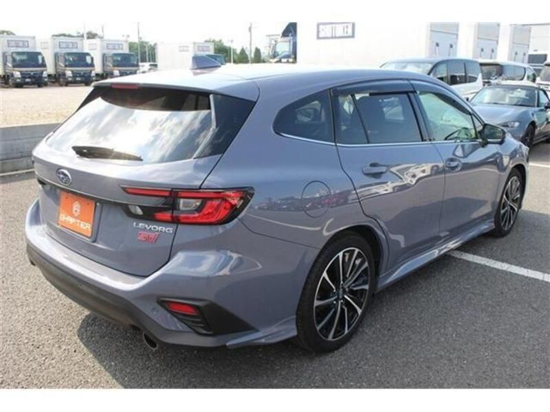 LEVORG