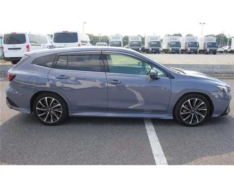 LEVORG