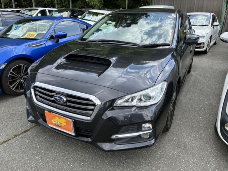 LEVORG-0