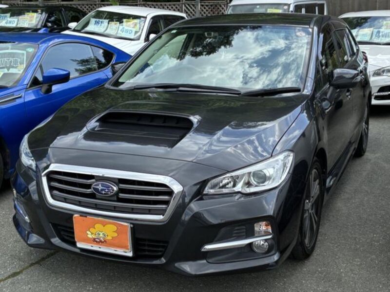 LEVORG