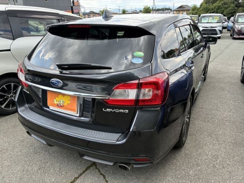 LEVORG