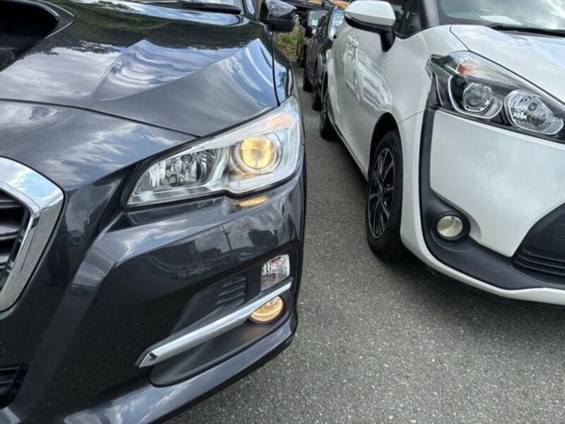 LEVORG