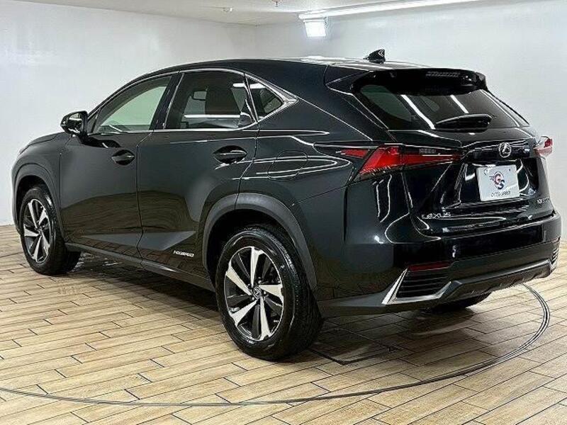 NX