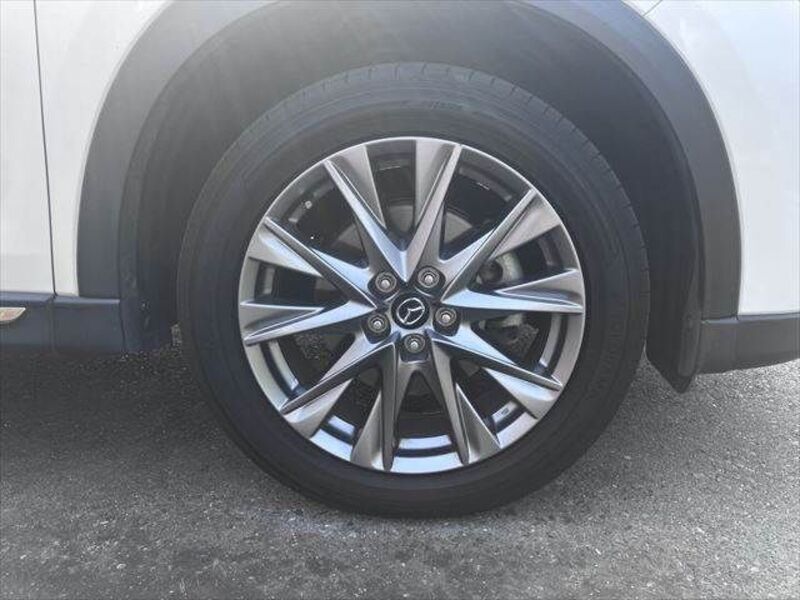 CX-8