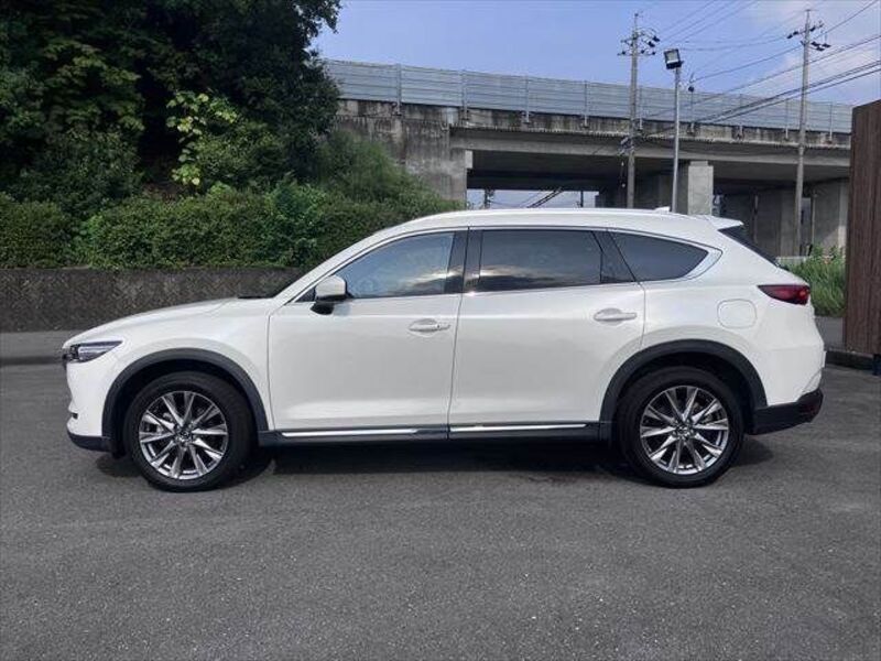 CX-8