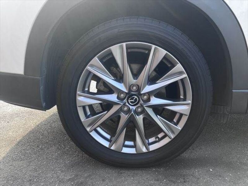 CX-8