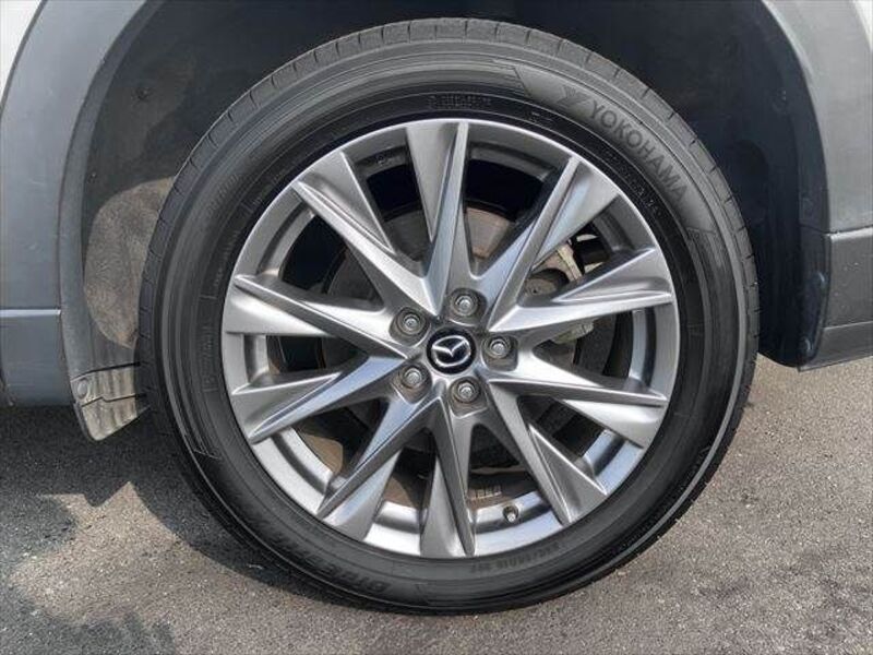 CX-8