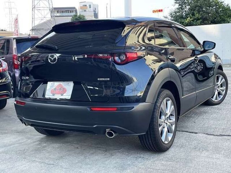 CX-30