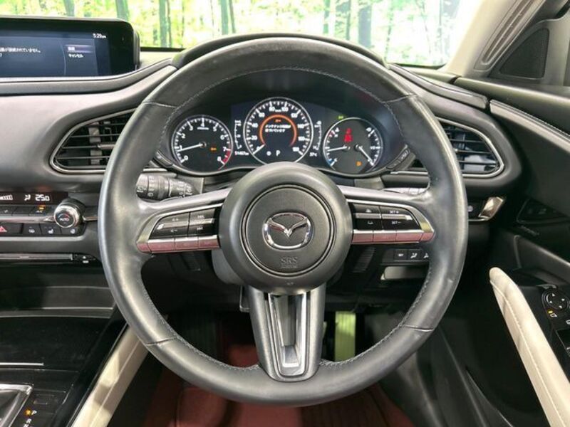 CX-30