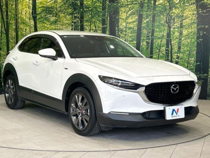 CX-30