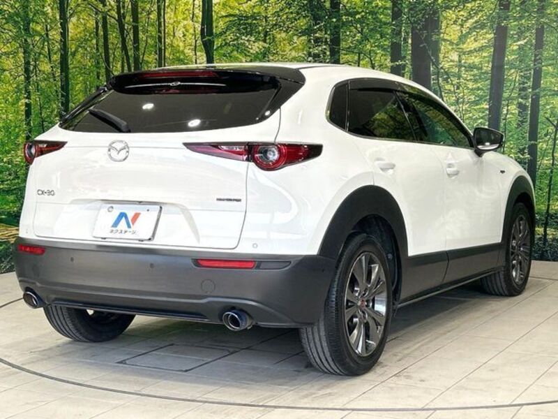CX-30
