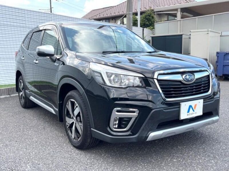 FORESTER