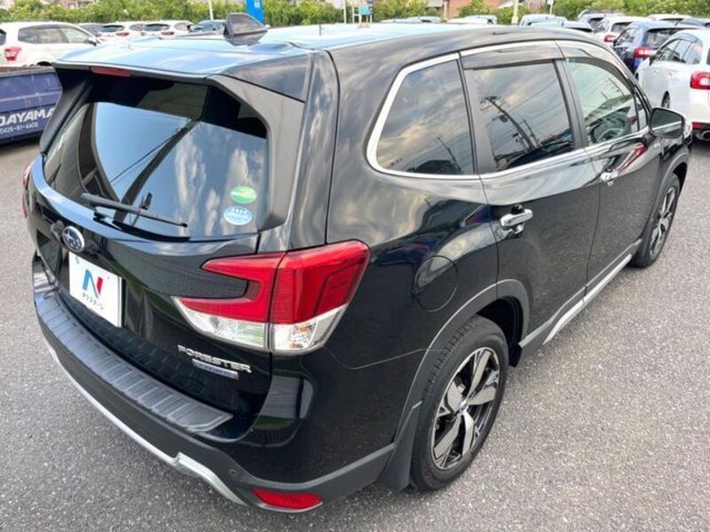 FORESTER