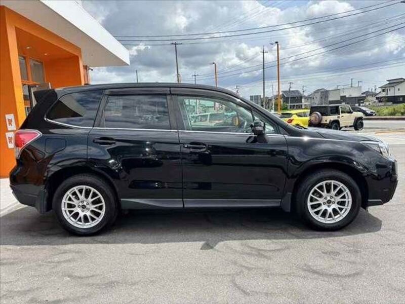 FORESTER