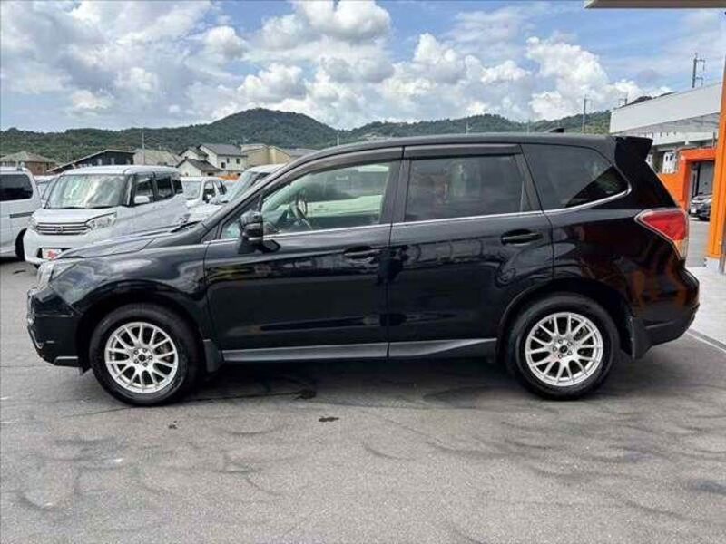 FORESTER