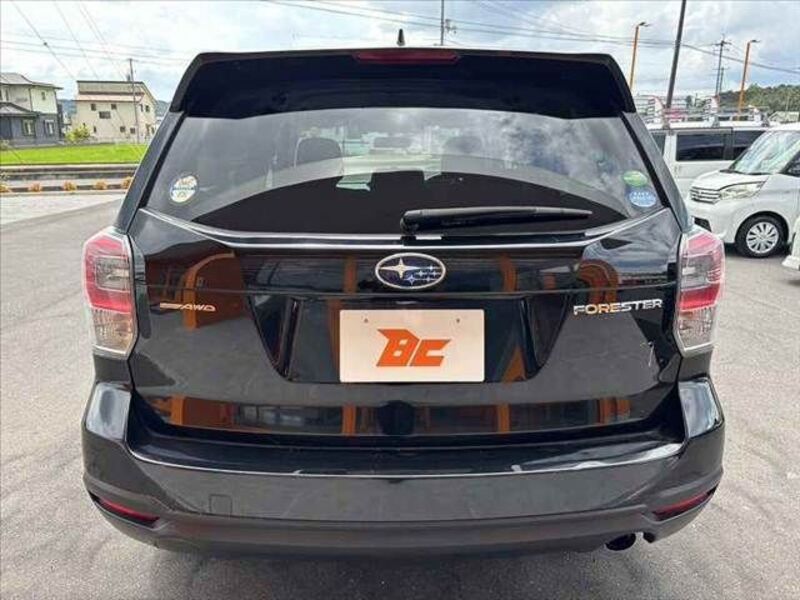 FORESTER