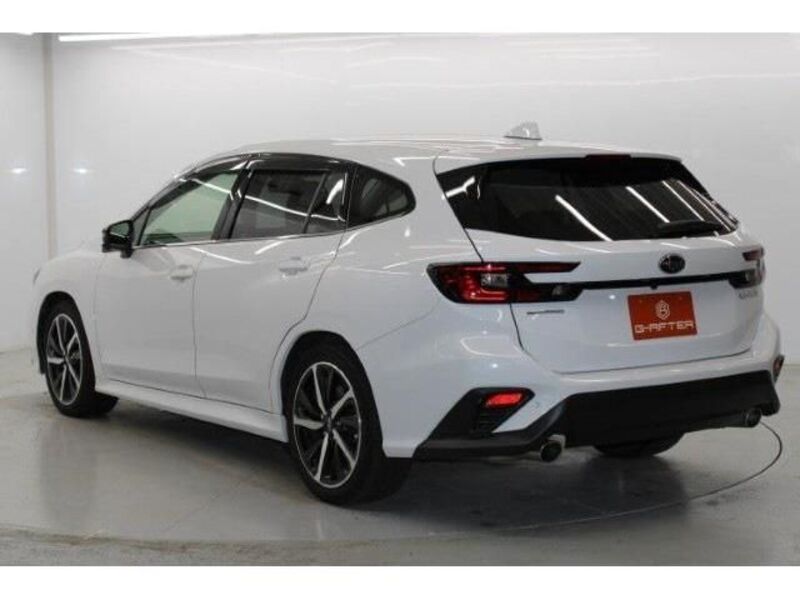 LEVORG