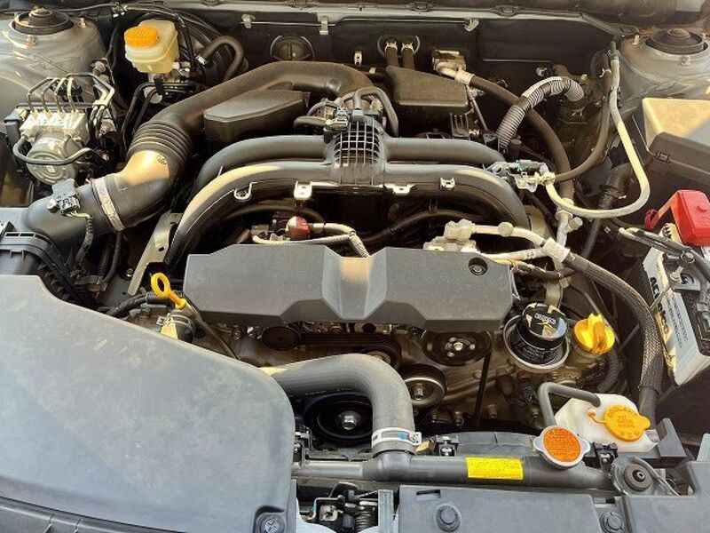 LEGACY OUTBACK