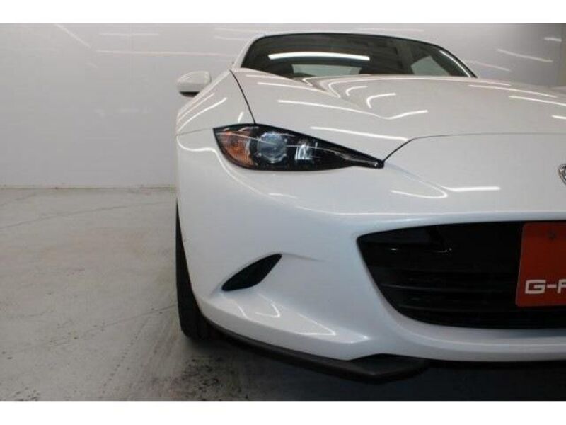 ROADSTER RF