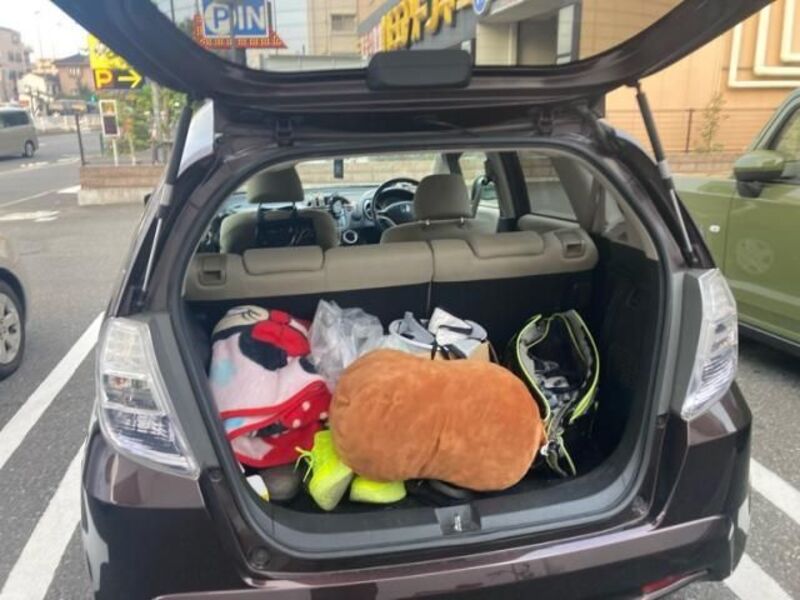 FIT HYBRID