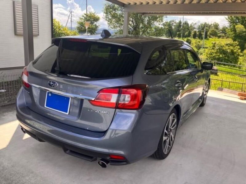 LEVORG