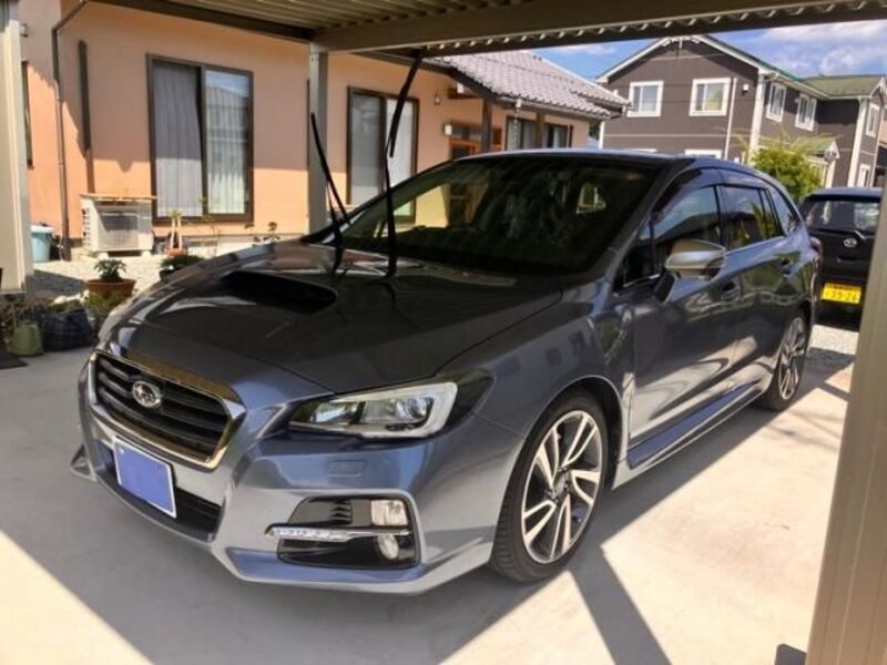 LEVORG