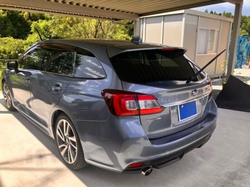 LEVORG