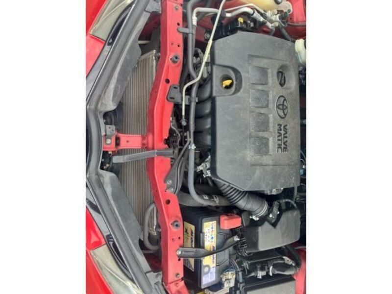 AURIS