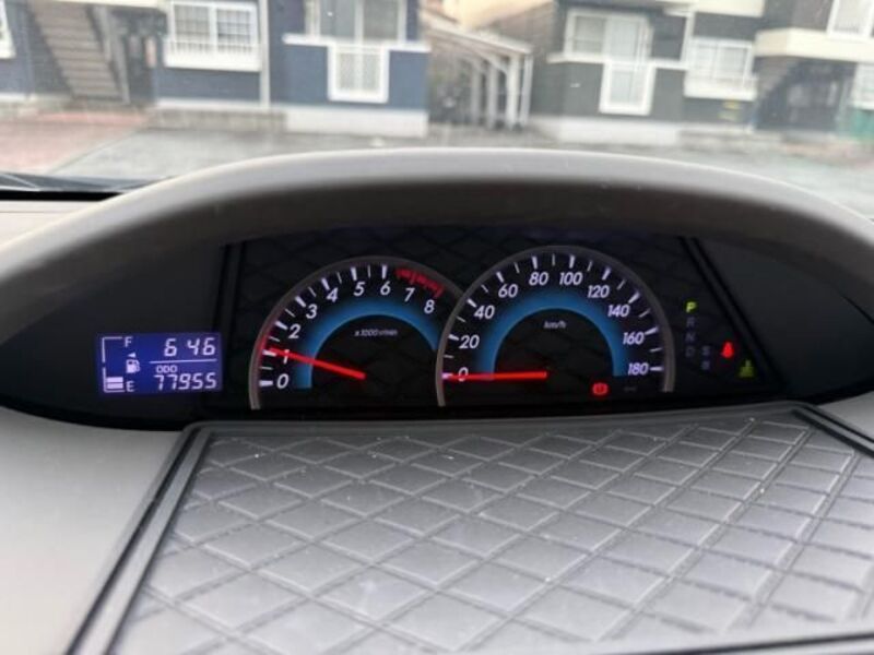 BELTA