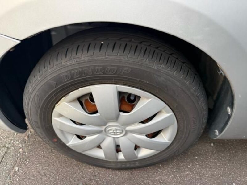 BELTA