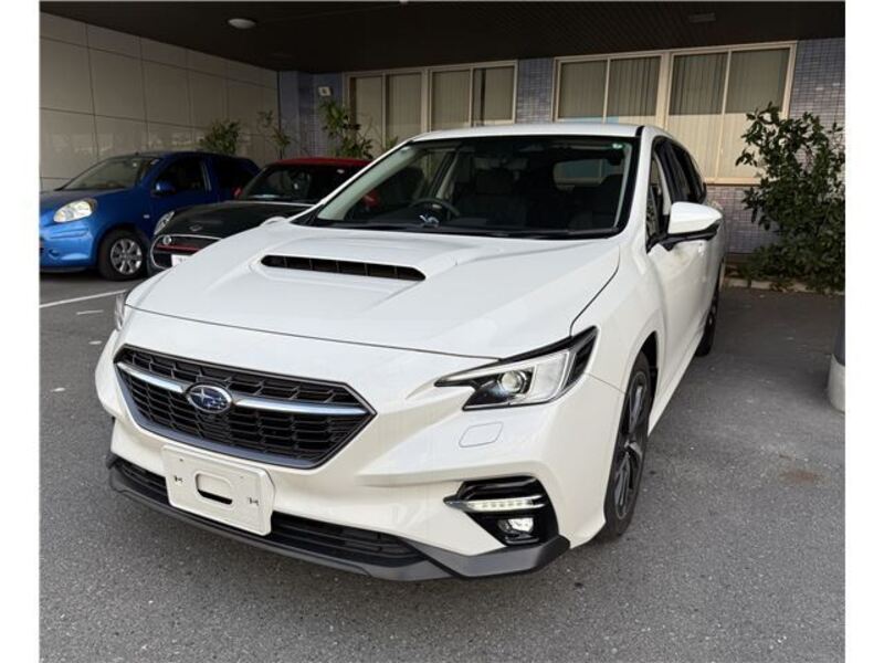 LEVORG-0