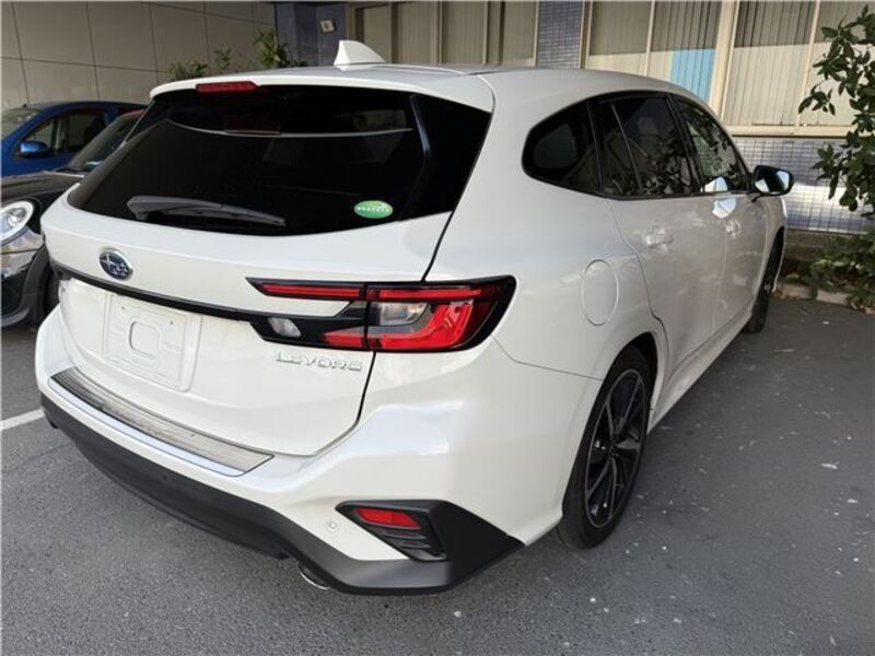 LEVORG