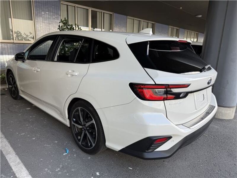LEVORG